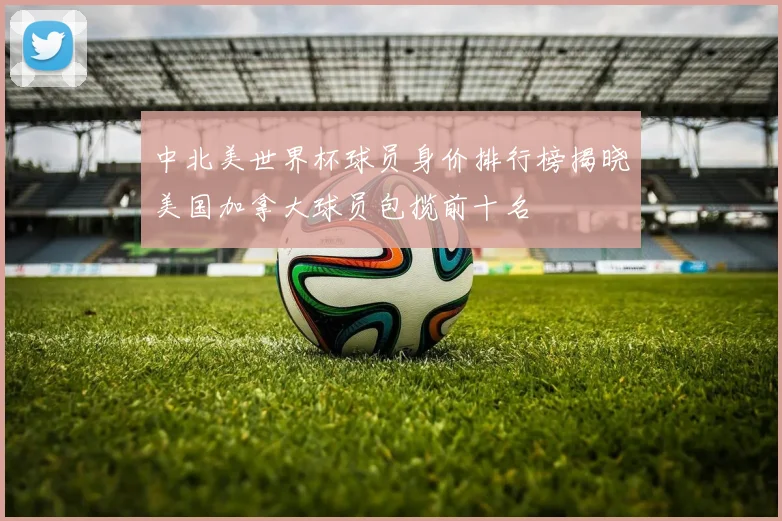 中北美世界杯球员身价排行榜揭晓美国加拿大球员包揽前十名